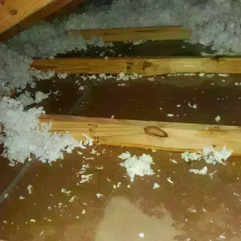 Attic Water Damage in Dewey County, OK