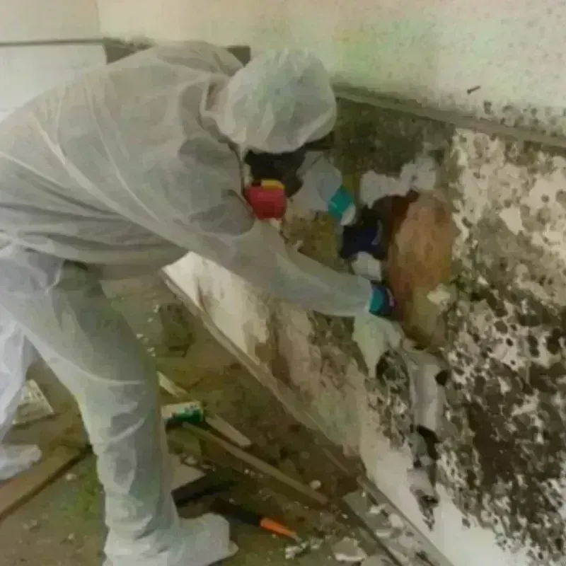 Mold Remediation and Removal in Dewey County, OK